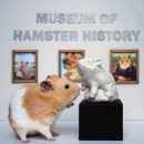 Martin the Hamster. To, e Art projeto de Chelsea Andersson - 08.04.2022