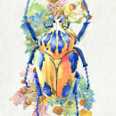 Entomology artworks . Traditional illustration, Education, Drawing, Fashion Design, Watercolor Painting, Botanical Illustration, Naturalistic Illustration, Floral, Plant Design, and Picturebook project by Helena Smyth - 04.13.2022