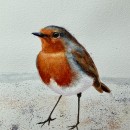 My project for course: Artistic Watercolor Techniques for Illustrating Birds. Ilustração tradicional, Pintura em aquarela, Desenho realista e Ilustração naturalista projeto de Mike Jacobs - 29.04.2022