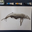 My project for course: Naturalist Illustration Techniques: Whales in Watercolor. Un proyecto de Ilustración tradicional, Diseño de carteles, Ilustración digital y Manga de Alysée Durand Robin - 16.05.2022