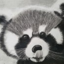 Panda rojo a carboncillo. Desenho a lápis, Desenho, e Desenho realista projeto de Lina Barahona - 01.06.2022