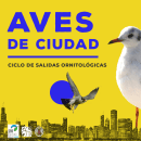 SEO-Alectoris. Un proyecto de Diseño gráfico, Collage y Diseño de carteles de Montse Soria - 01.01.2022