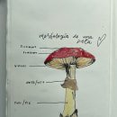 Mi proyecto del curso: Cuaderno botánico en acuarela. Ilustração tradicional, Pintura em aquarela, Ilustração botânica, e Sketchbook projeto de Paulina Posada Vega - 21.06.2022