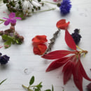 Botanical dyeing. Arts, Crafts, Paper Craft, Creativit, and Fashion Design project by Elaine Perkins - 07.23.2022
