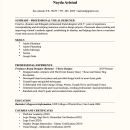 My project for course: Resumes for Creatives: Craft Your CV and Cover Letter. Creative Consulting, Portfolio Development, Communication, and Business project by Nayda Aristud - 07.22.2022