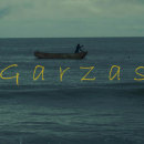 Garzas. Un proyecto de Fotografía, Cine y Edición de vídeo de Bryan E. Salazar Pelayo - 25.07.2022