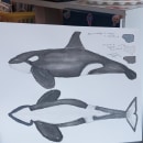 Mi proyecto del curso: Técnicas de ilustración naturalista: ballenas en acuarela. Ilustração tradicional, Design de cartaz, Ilustração digital, e Mangá projeto de yury torres - 29.07.2022