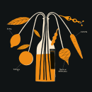 Black Orange / The Organics by Red Bull. Ilustração, e Publicidade projeto de Miguel Monkc - 01.06.2022