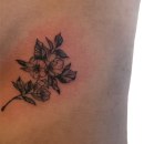 Mi proyecto del curso: Tatuaje botánico con puntillismo. Un proyecto de Ilustración tradicional, Diseño de tatuajes e Ilustración botánica de Rafael Gutierrez - 03.08.2022