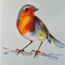 Little Red Robin . Traditional illustration project by Marianne Noiman - 08.19.2022