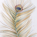 Plumas. Traditional illustration, Fine Arts, Drawing, and Watercolor Painting project by Verónica Petrina - 09.01.2022