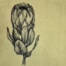 Mi proyecto del curso: Tatuaje botánico con puntillismo. Un projet de Illustration traditionnelle, Conception de tatouage et Illustration botanique de Leandro Almuna Martinez - 30.07.2022