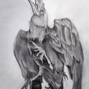 Raven, graphit . Traditional illustration project by Carlos Nievas - 09.06.2022
