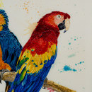 My  3 different projects of birds for the course . Un proyecto de Ilustración tradicional, Pintura a la acuarela, Dibujo realista e Ilustración naturalista				 de Morgane Bouiller - 29.08.2022
