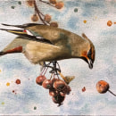 Mi proyecto del curso: Acuarela artística para ilustración de aves. Ilustração tradicional, Pintura em aquarela, Desenho realista e Ilustração naturalista projeto de Lara Barbali - 01.10.2022