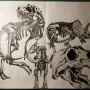 Dinosaurs Skeletons Graphite Anatomy Exercise. Traditional illustration, Fine Arts, Sketching, Pencil Drawing, Drawing, Realistic Drawing, and Figure Drawing project by Alicia Manzanos Ferrer - 05.23.2020