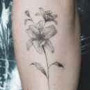 Mi proyecto del curso: Tatuaje fine line de Lirios. Un projet de Illustration traditionnelle, Dessin , et Conception de tatouage de Constanza Montt - 25.10.2022