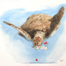 La tortuga del Cerezo. Desenho, Desenho artístico e Ilustração naturalista projeto de Ernesto Alvarado Garcia - 24.10.2022