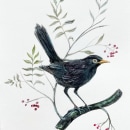 Vogel voor vogel - Bird by bird project. Ilustração tradicional projeto de Laury Persoon - 04.06.2022
