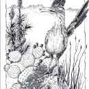 My project for course: Dip Pen and Ink Illustration: Capturing The Natural World. Sketching, Drawing, Artistic Drawing, Sketchbook, Ink Illustration, and Naturalistic Illustration project by Jean Conway - 11.19.2022