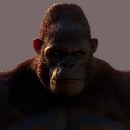 Gorilla. Un projet de 3D, Conception de personnages , et Modélisation 3D de Florián Javier Vega Lopez - 21.11.2022