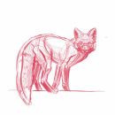 Animal Illustration: Capturing Wildlife in a Sketchbook. Un projet de Illustration traditionnelle, Esquisse  , et Carnet de croquis de klaudia.gacek - 25.11.2022