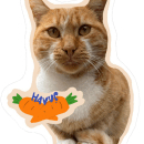 Cat Stickers with Procreate - 1. Ilustração tradicional projeto de smdmryrk - 20.12.2022