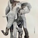 African Elephant Field Journal. Pintura projeto de Joe Shook - 20.12.2022