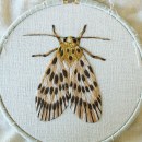 Polilla. Embroider, and Textile Illustration project by Abril Millán - 12.21.2022