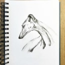 Mi proyecto del curso: Ilustración de animales con carboncillo y tinta. Desenho, Ilustração com tinta e Ilustração naturalista projeto de Laura Poletti - 24.12.2022