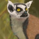 Lemur - Digital Painting. Traditional illustration project by Filipe Patrocínio - 12.18.2022