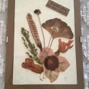 Meu projeto do curso:  Prensar flores e plantas. Arts, Crafts, Fine Arts, Collage, DIY, Floral, and Plant Design project by Isabel Sousa - 01.11.2023
