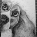 Mi proyecto del curso: Ilustración de animales con carboncillo y tinta. Drawing, Ink Illustration, and Naturalistic Illustration project by Alvaro Hernandez - 01.11.2023