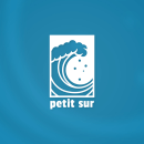 Petit Sur. Br, ing, Identit, Design Management, Web Design, Digital Illustration, and Social Media Design project by alejandro arruti - 01.27.2023