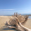 Mi proyecto del curso: La Cruz de Huanacaxtle beach, Nayarit, Mexico. Mobile Photograph, Outdoor Photograph & Instagram Photograph project by anicolas.cruz - 02.05.2023