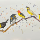 My project for course: Artistic Watercolor Techniques for Illustrating Birds. Un projet de Illustration traditionnelle, Aquarelle, Dessin réaliste et Illustration naturaliste de Nic Steenhout - 13.02.2023