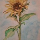 Girassol em aquarela. Illustration, Painting, Watercolor Painting, Artistic Drawing, Floral, and Plant Design project by Lourdes Ludgero - 03.23.2023