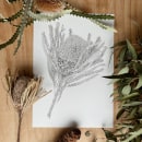 Golden Banksia. Ilustração tradicional projeto de Charlotte Guest - 26.03.2023