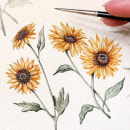 Botanical Illustrations. Ilustração tradicional projeto de Ella Sienna - 27.03.2023