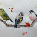 My project for course: Artistic Watercolor Techniques for Illustrating Birds. Ilustração tradicional, Pintura em aquarela, Desenho realista e Ilustração naturalista projeto de Chris Taylor - 10.04.2023