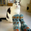 Herding Cats socks. Un projet de Création d'accessoires, Artisanat , et Tricot de Stone Knits - 27.04.2023