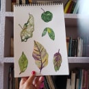 My project for course: Botanical Watercolor for Patterns. Un proyecto de Ilustración tradicional, Pattern Design, Pintura a la acuarela e Ilustración botánica de Patricia Avila - 03.05.2023