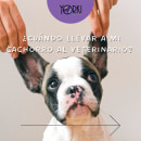 ¿Cuando llevar a mi Cachorro al Veterinario?. Marketing para Instagram, Redação de conteúdo, e Design de apresentação projeto de Romina Guerrero - 02.05.2023