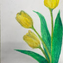 Dibujo tulipanes. Desenho artístico projeto de gloriaparra2001 - 08.05.2023