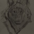 The Wolf. Design project by Jenna Luke - 06.10.2022