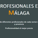 Profesionales en Málaga. Un proyecto de Diseño Web y Desarrollo Web de Borja Guerrero - 26.05.2023