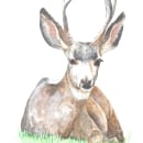 Biche. Watercolor Painting project by Blandine TORIS - 06.07.2023
