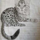 Egyptian Mau. Traditional illustration project by carojems7 - 06.21.2023