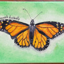 Monarch Butterfly. Un projet de Aquarelle de emerson46a - 27.06.2023