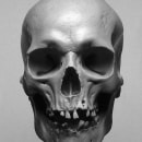 Human Skull Ein Projekt aus dem Bereich Design, H, werk und Skulptur von Aggelos Balaskas - 30.06.2023